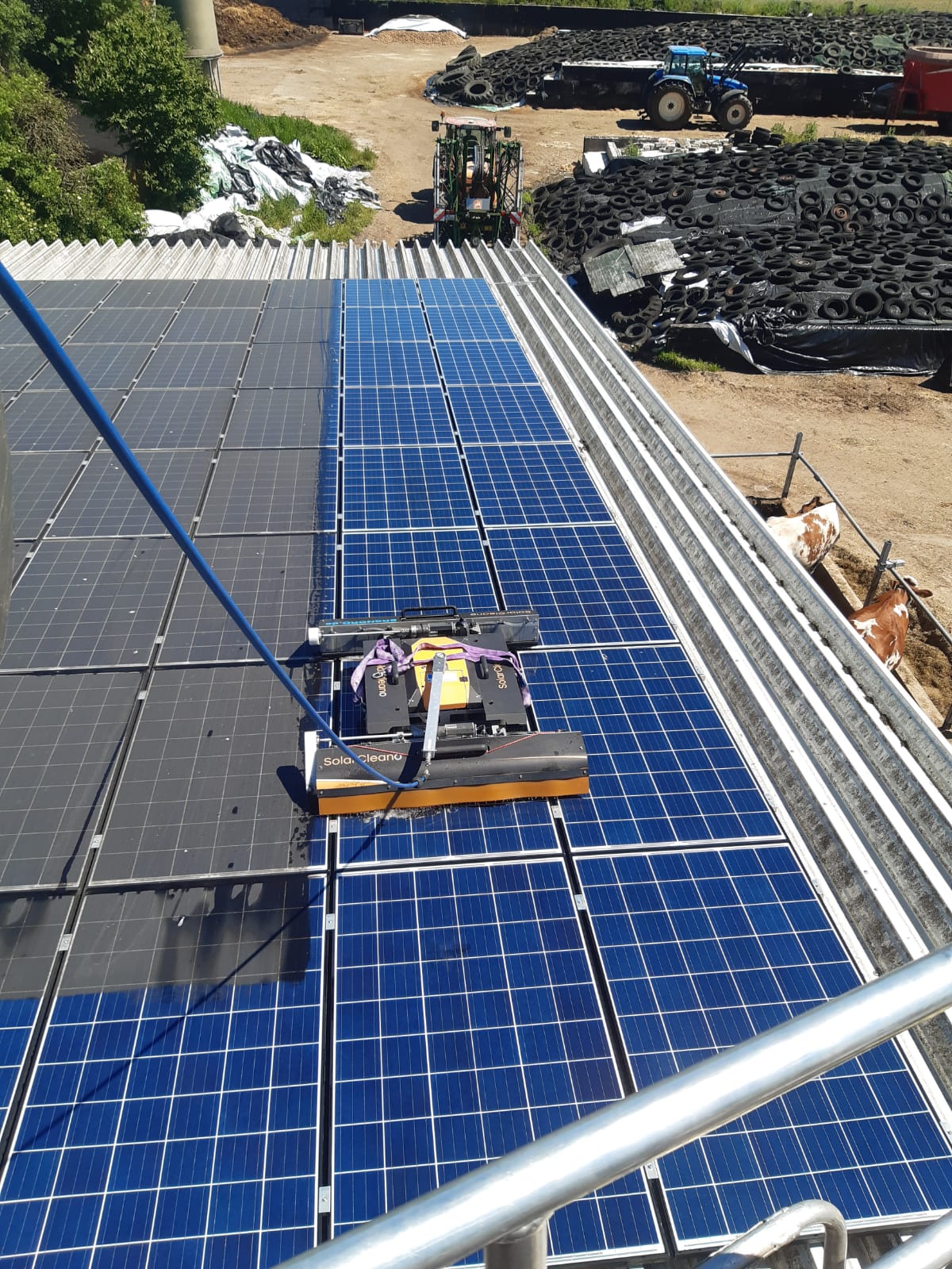 Reinigung einer Dach-Photovoltaikanlage